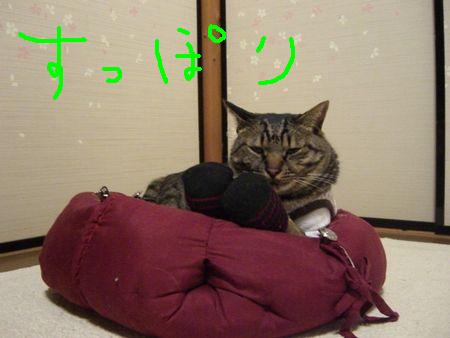 a0099131_12555526.jpg