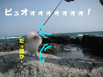 海＋強風＝ボーボーッの巻_c0179136_22544713.jpg