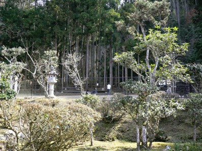 c0080038_15431383.gif