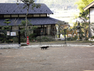 c0080038_15444100.gif