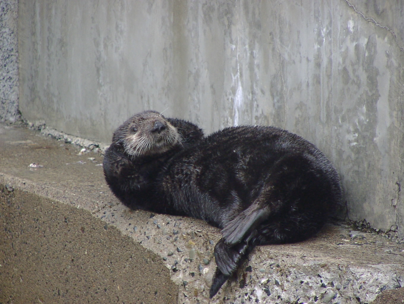お気楽くうちゃん 3月23日_f0113639_1334683.jpg