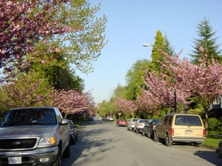 e0170441_23574926.jpg