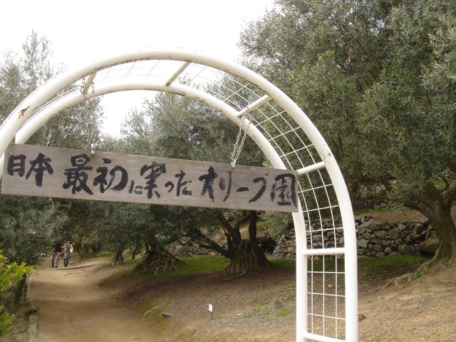 a0115642_16252981.jpg