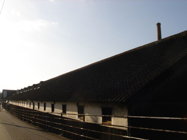 a0115642_16373038.jpg