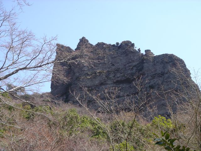 a0115642_16435196.jpg