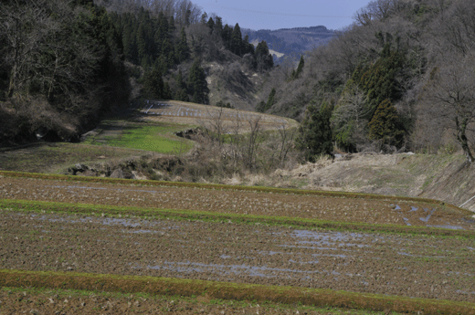 c0093046_711769.gif