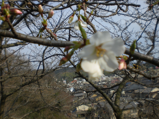 b0152548_1615028.jpg