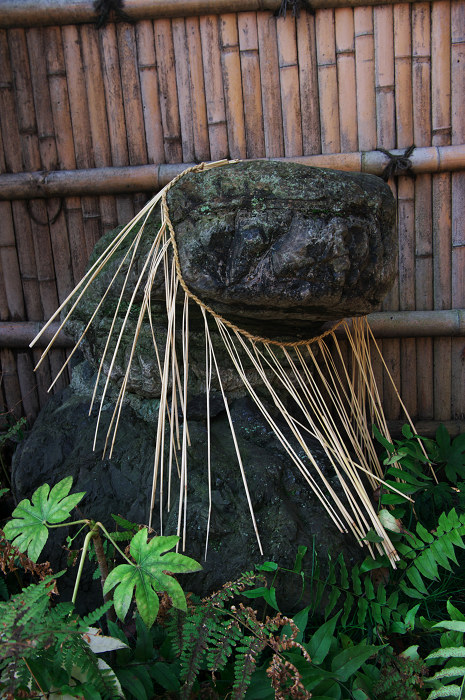 伏見の春（長建寺）_f0155048_2343263.jpg