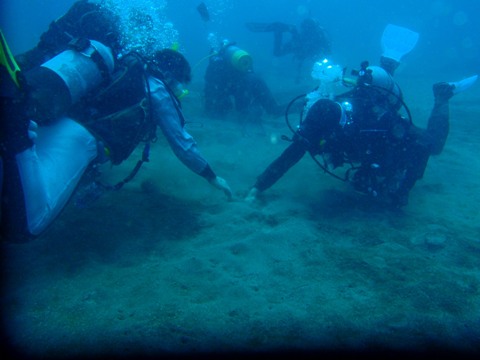 e0065350_06123.jpg