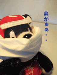 b0159557_1555451.gif