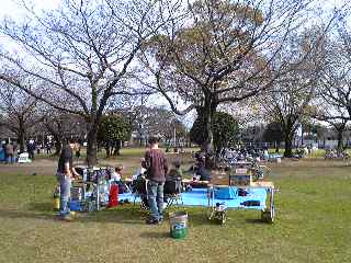 2009ユニカムお花見_d0090663_1285785.jpg