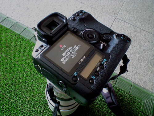 f0171065_0243824.jpg