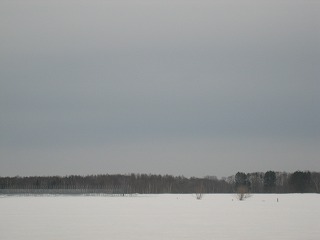 c0148270_9272073.jpg