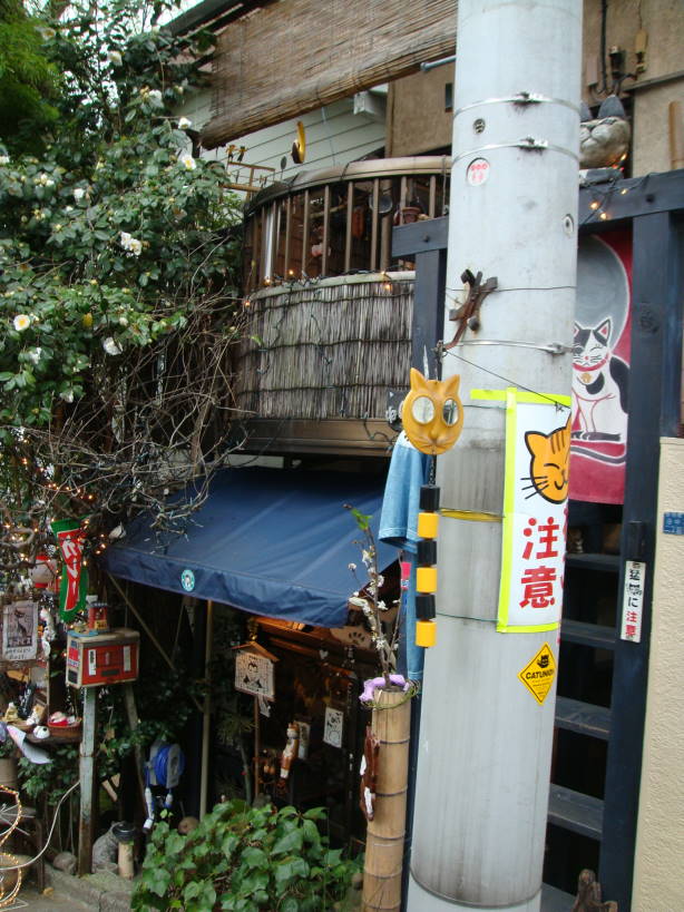 b0156971_19422627.jpg