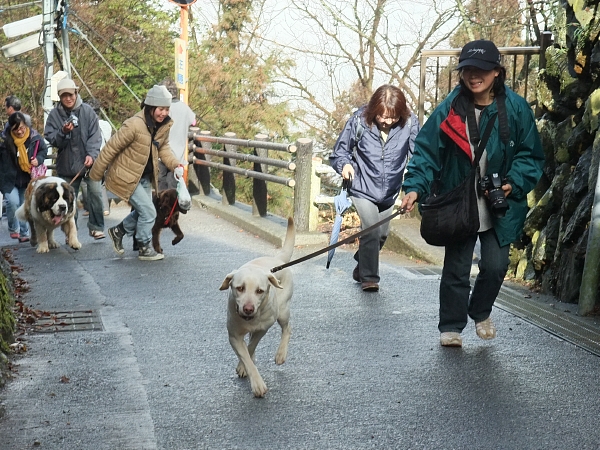 in-u 御嶽山 10_c0109780_8594361.jpg