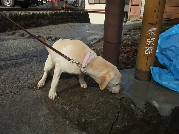 in-u 御嶽山 10_c0109780_902071.jpg