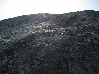 a0038882_10363989.jpg