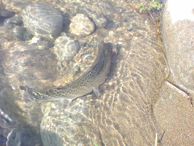 c0157482_23232091.jpg