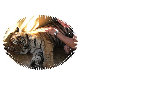 c0096685_23202034.jpg
