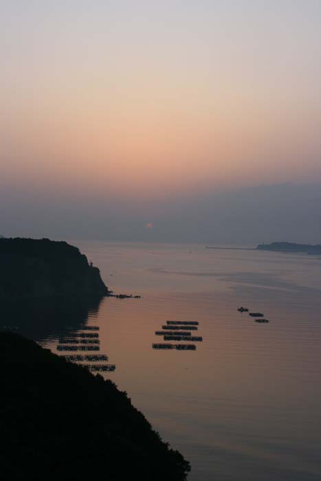 c0177785_74573.jpg