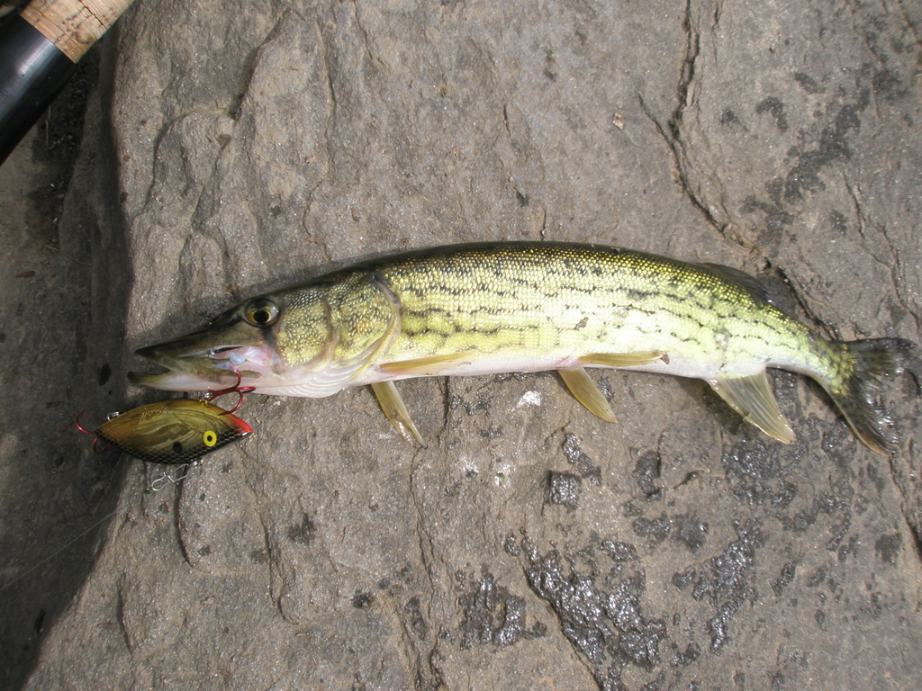 f0024887_71676.jpg