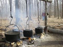 Ｍaple Syrup Festival_f0188990_2285496.jpg