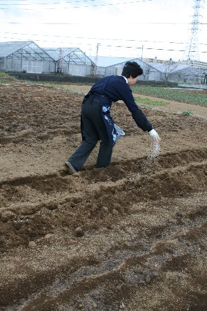 第2回実践おやじの為の野菜塾_f0054197_7293447.jpg