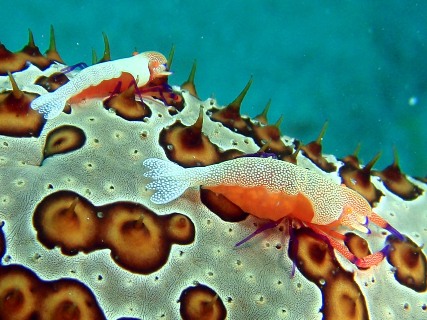 e0023100_318374.jpg