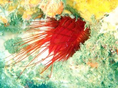 e0023100_3245327.jpg