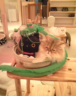 c0181601_2254999.jpg
