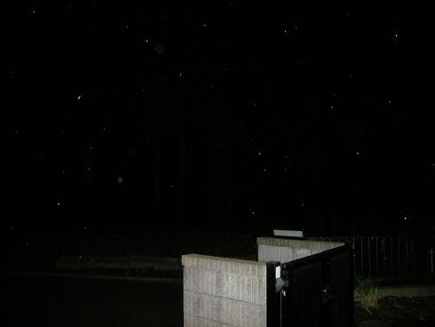 b0120103_206769.jpg