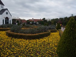 b0139303_2114281.jpg