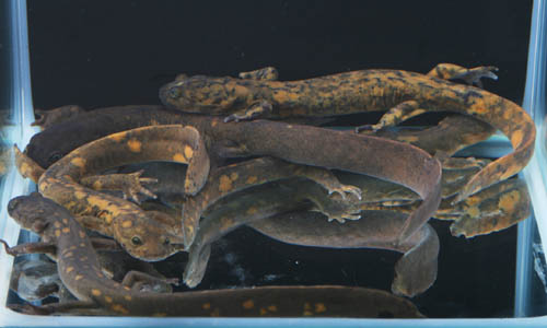 c0165803_20575368.jpg