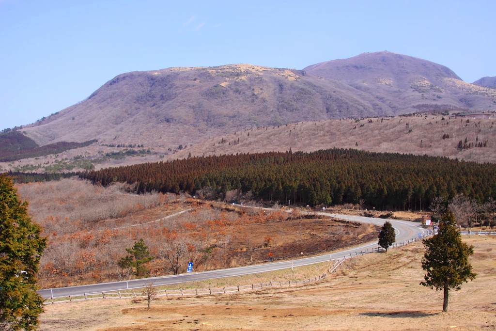 e0063003_17592859.jpg