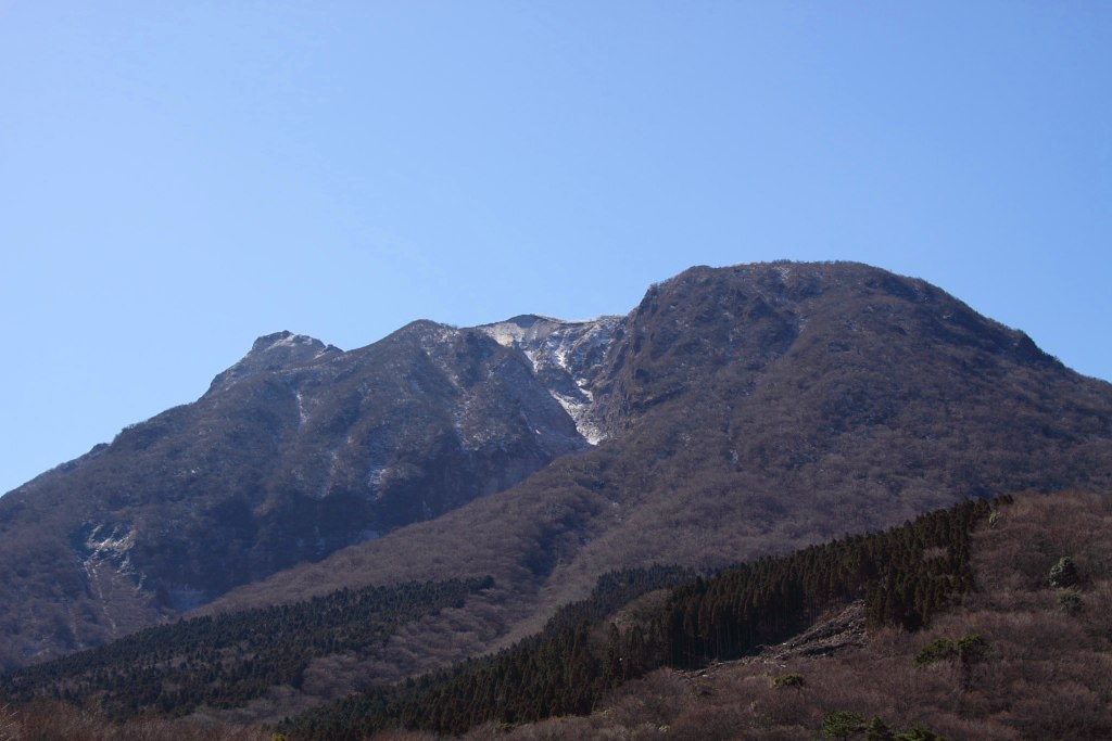 e0063003_1765838.jpg