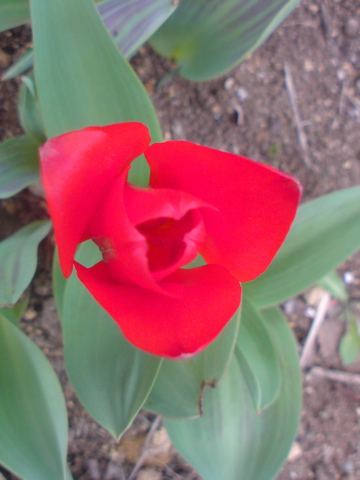 f0052603_22495489.jpg