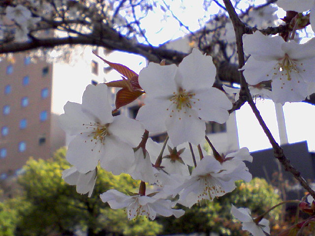 f0197703_10235047.jpg