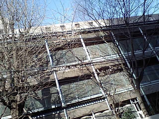 d0054704_1344729.jpg