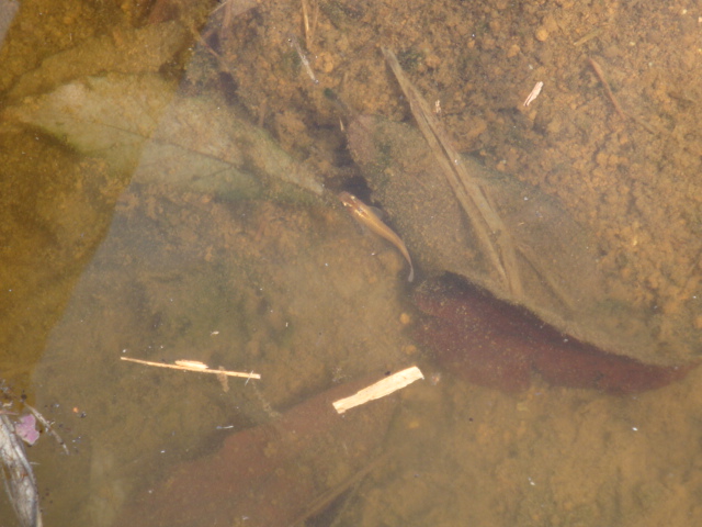 e0175905_2131263.jpg