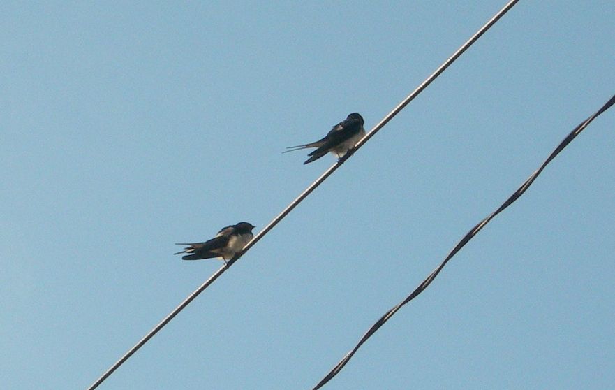 c0149408_22113425.jpg