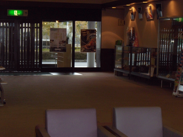 b0159611_238385.gif