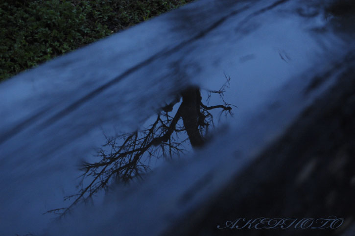 雨の日の青_e0127416_0311699.jpg