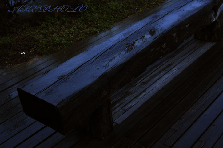 雨の日の青_e0127416_0313685.jpg