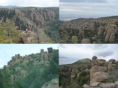 Chiricahua National Monument_a0118718_0182550.jpg