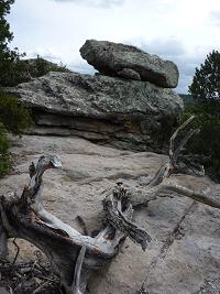 Chiricahua National Monument_a0118718_044015.jpg