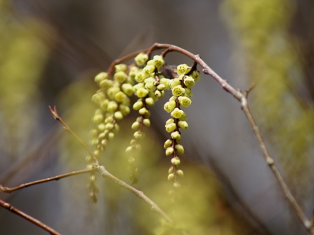 c0042418_8261868.jpg