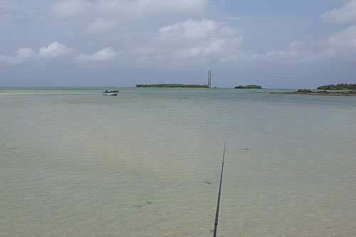b0041521_10365528.jpg