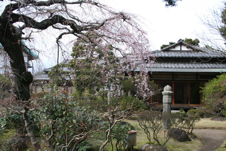 f0058623_1684895.jpg