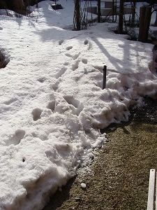 f0170524_14344425.jpg
