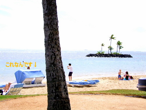 a0000029_0191771.jpg
